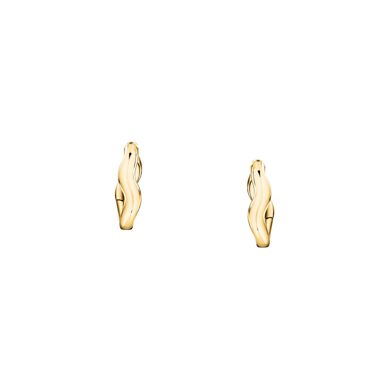 morellato 18k gold plated design earring hoop stainless steel yg �1.6cm