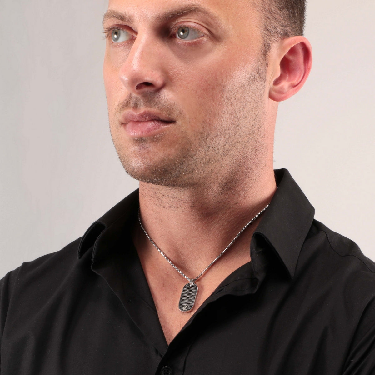 sector basic pendant stainless steel anchor 500mm