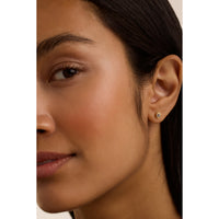 ted baker sinee: mini crystal stud earrings, gold tone, clear crystal