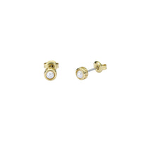 ted baker sinee: mini pearl stud earrings