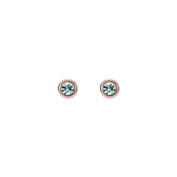 ted baker sinee: mini crystal stud earrings, rose gold tone, clear crystal