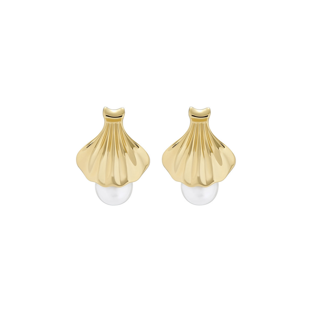 ted baker caliien: clam shell gold tone pearl stud earring