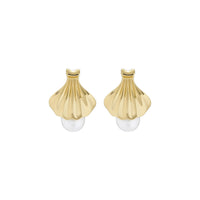 ted baker caliien: clam shell gold tone pearl stud earring