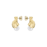 ted baker caliien: clam shell gold tone pearl stud earring