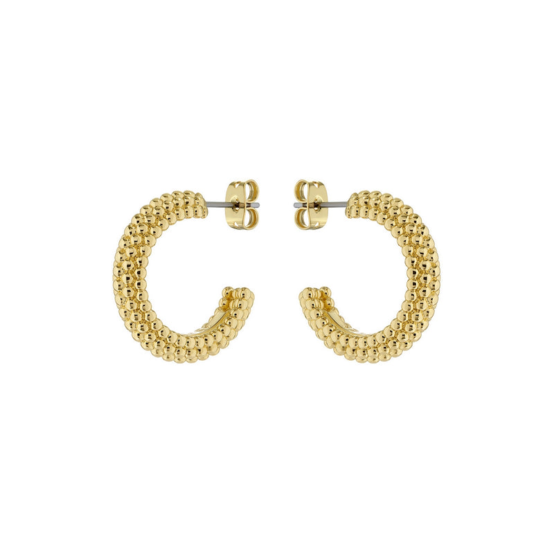 ted baker dotetta: dotty hoop earrings gold tone