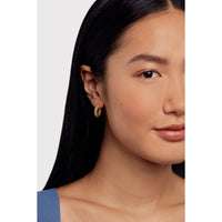 ted baker dotetta: dotty hoop earrings gold tone