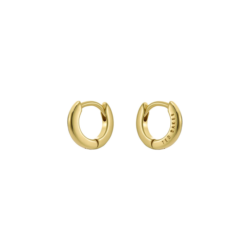 ted baker crisete: logo hoop earrings (10mm) gold tone