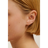 ted baker crisete: logo hoop 10mm earrings rose gold tone
