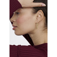 ted baker shirina: crystal shimmer gold tone drop  earrings