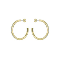 ted baker clanci: medium crystal gold tone hoop earrings