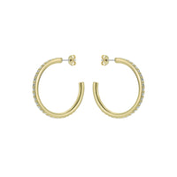 ted baker clanci: medium crystal gold tone hoop earrings