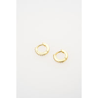 ted baker hettie: crystal hoop earrings (10mm)  gold tone clear crystal