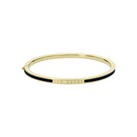 ted baker roley: classic colour enamel slim gold tone bangle bracelet